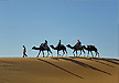 Passaport al Marroc